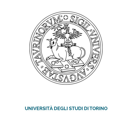 Master Psicologia Online Universidad Turin